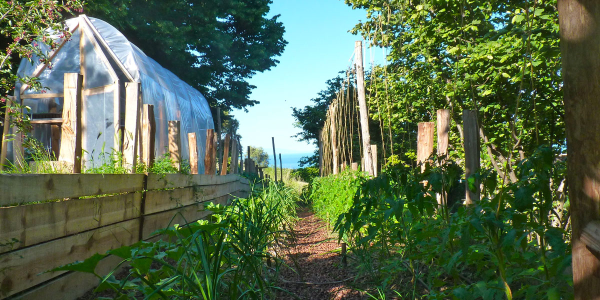 Le Jardin vivrier permaculturel